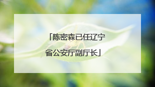 陈密森已任辽宁省公安厅副厅长