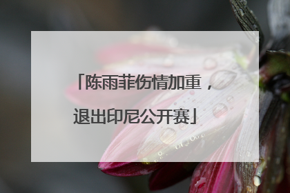 陈雨菲伤情加重，退出印尼公开赛