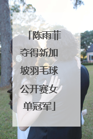 陈雨菲夺得新加坡羽毛球公开赛女单冠军