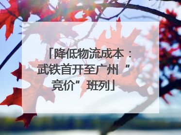 降低物流成本：武铁首开至广州“竞价”班列