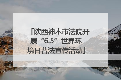 陕西神木市法院开展“6.5”世界环境日普法宣传活动