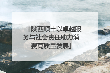 陕西顺丰以卓越服务与社会责任助力消费高质量发展