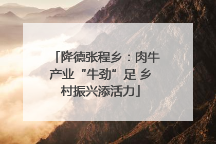 隆德张程乡：肉牛产业“牛劲”足 乡村振兴添活力