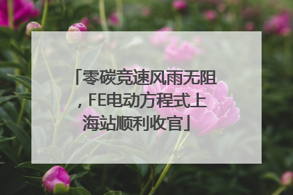 零碳竞速风雨无阻，FE电动方程式上海站顺利收官