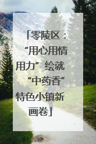 零陵区：“用心用情用力”绘就“中药香”特色小镇新画卷