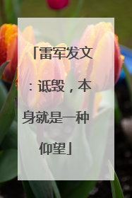 雷军发文：诋毁，本身就是一种仰望