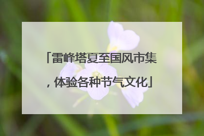 雷峰塔夏至国风市集，体验各种节气文化
