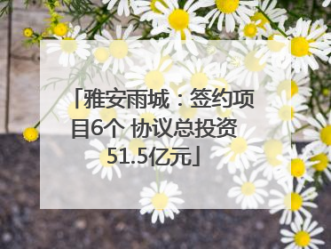 雅安雨城：签约项目6个 协议总投资51.5亿元