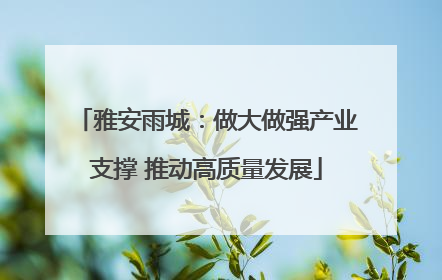 雅安雨城：做大做强产业支撑 推动高质量发展