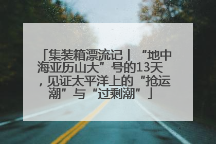集装箱漂流记丨“地中海亚历山大”号的13天，见证太平洋上的“抢运潮”与“过剩潮”