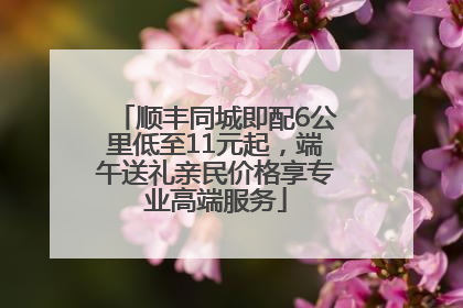 顺丰同城即配6公里低至11元起，端午送礼亲民价格享专业高端服务