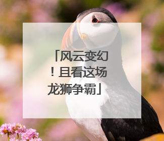 风云变幻！且看这场龙狮争霸