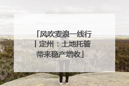 风吹麦浪一线行丨定州：土地托管带来稳产增收