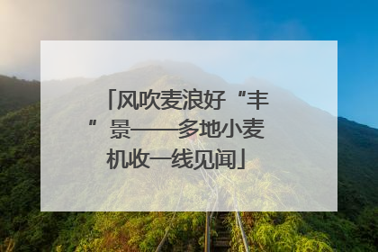 风吹麦浪好“丰”景——多地小麦机收一线见闻