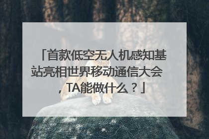 首款低空无人机感知基站亮相世界移动通信大会，TA能做什么？