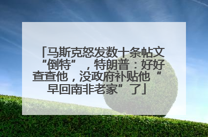 马斯克怒发数十条帖文“倒特”，特朗普：好好查查他，没政府补贴他“早回南非老家”了