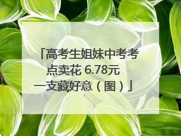 高考生姐妹中考考点卖花 6.78元一支藏好意（图）