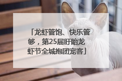龙虾管饱、快乐管够，第25届盱眙龙虾节全城抱团宠客