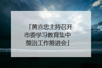 黄喜忠主持召开市委学习教育集中整治工作推进会