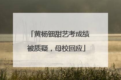 黄杨钿甜艺考成绩被质疑，母校回应