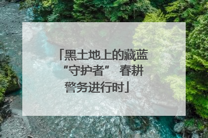 黑土地上的藏蓝“守护者” 春耕警务进行时