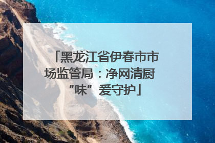 黑龙江省伊春市市场监管局：净网清厨 “味”爱守护