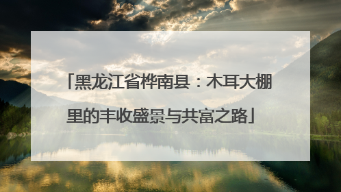 黑龙江省桦南县：木耳大棚里的丰收盛景与共富之路