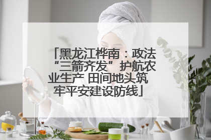 黑龙江桦南：政法“三箭齐发”护航农业生产 田间地头筑牢平安建设防线