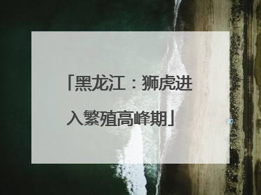 黑龙江：狮虎进入繁殖高峰期