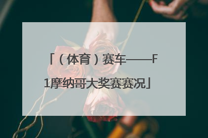 （体育）赛车——F1摩纳哥大奖赛赛况