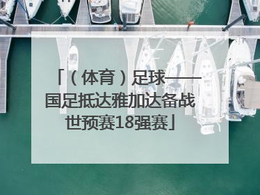 （体育）足球——国足抵达雅加达备战世预赛18强赛