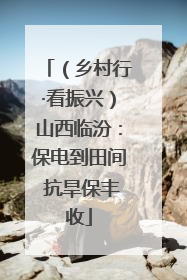 （乡村行·看振兴）山西临汾：保电到田间 抗旱保丰收