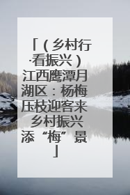 （乡村行·看振兴）江西鹰潭月湖区：杨梅压枝迎客来 乡村振兴添“梅”景