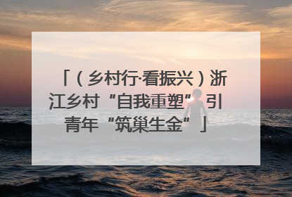 （乡村行·看振兴）浙江乡村“自我重塑” 引青年“筑巢生金”