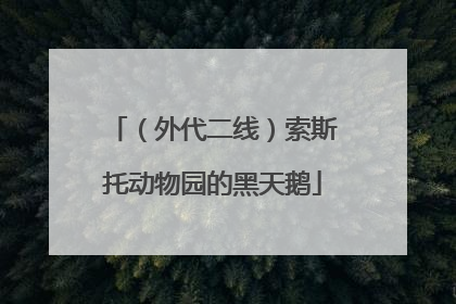 （外代二线）索斯托动物园的黑天鹅