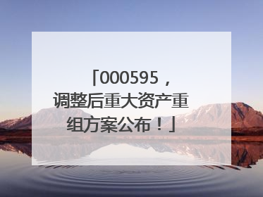 000595，调整后重大资产重组方案公布！