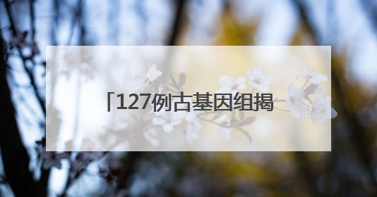 127例古基因组揭示青藏高原“幽灵祖先”与南亚语系族群遗传起源｜封面科考队