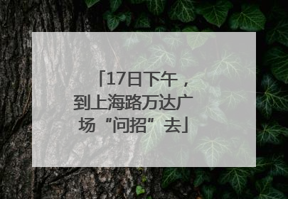 17日下午，到上海路万达广场“问招”去
