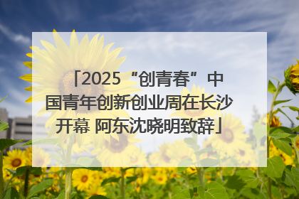 2025“创青春”中国青年创新创业周在长沙开幕 阿东沈晓明致辞