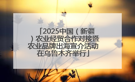 2025中国（新疆）农业经贸合作对接暨农业品牌出海宣介活动在乌鲁木齐举行