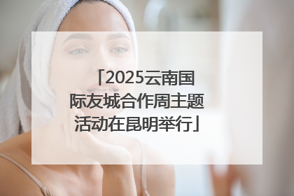 2025云南国际友城合作周主题活动在昆明举行