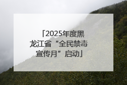 2025年度黑龙江省“全民禁毒宣传月”启动