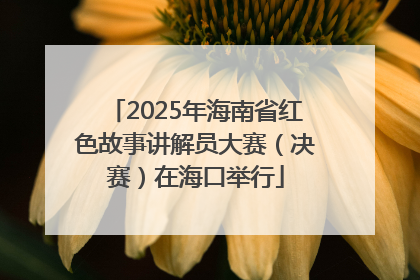 2025年海南省红色故事讲解员大赛（决赛）在海口举行