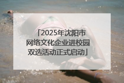 2025年沈阳市网络文化企业进校园双选活动正式启动
