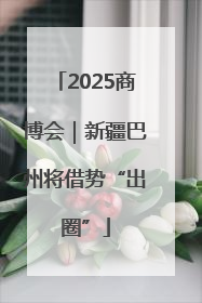 2025商博会｜新疆巴州将借势“出圈”