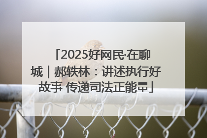 2025好网民·在聊城｜郝轶林：讲述执行好故事 传递司法正能量