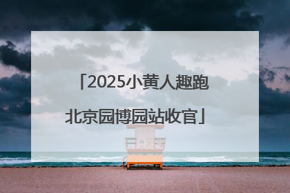 2025小黄人趣跑北京园博园站收官