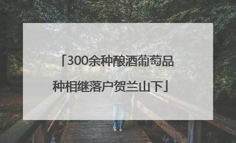 300余种酿酒葡萄品种相继落户贺兰山下