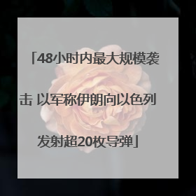 48小时内最大规模袭击 以军称伊朗向以色列发射超20枚导弹