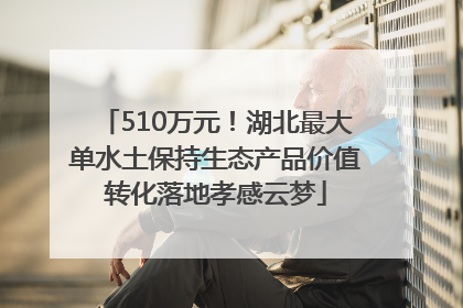 510万元！湖北最大单水土保持生态产品价值转化落地孝感云梦